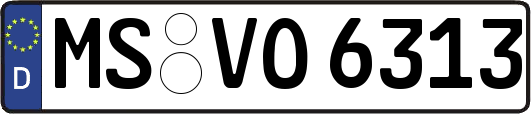 MS-VO6313