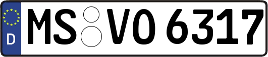 MS-VO6317