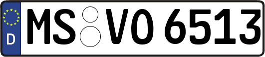 MS-VO6513