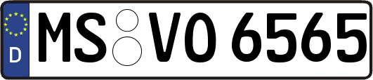 MS-VO6565