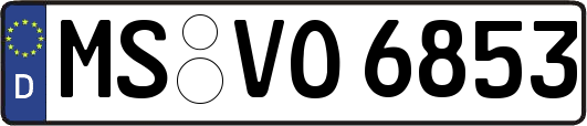 MS-VO6853