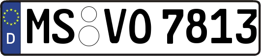 MS-VO7813