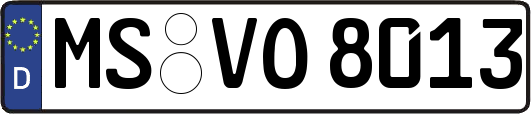 MS-VO8013