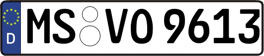 MS-VO9613