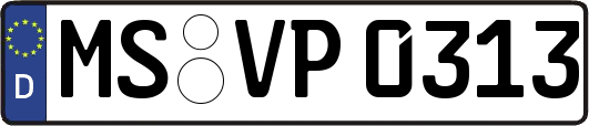 MS-VP0313