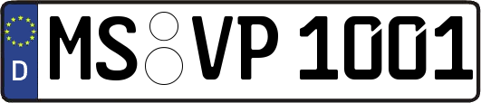 MS-VP1001