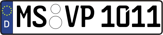 MS-VP1011