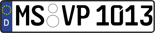 MS-VP1013