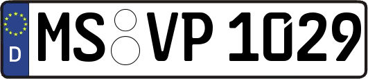 MS-VP1029