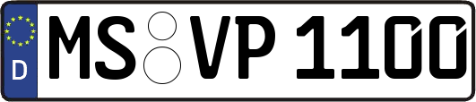 MS-VP1100