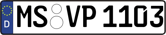 MS-VP1103