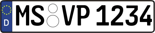 MS-VP1234