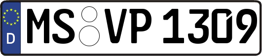 MS-VP1309