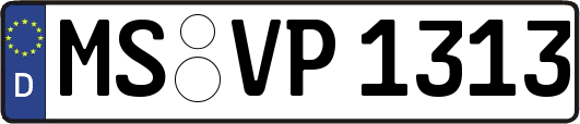 MS-VP1313