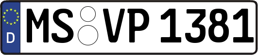 MS-VP1381