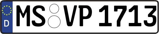 MS-VP1713