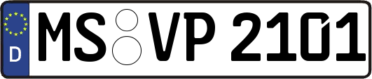 MS-VP2101