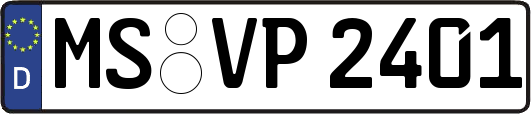 MS-VP2401