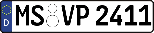 MS-VP2411