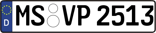 MS-VP2513