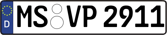 MS-VP2911
