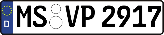 MS-VP2917