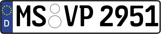 MS-VP2951