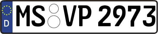 MS-VP2973