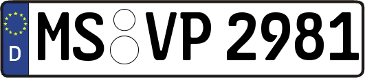 MS-VP2981