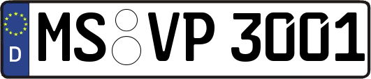 MS-VP3001