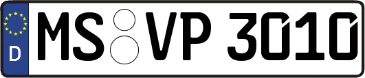 MS-VP3010