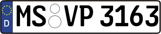 MS-VP3163