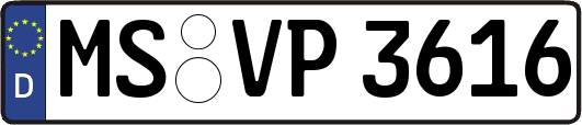 MS-VP3616