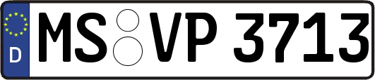 MS-VP3713