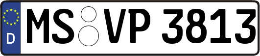 MS-VP3813