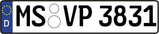 MS-VP3831