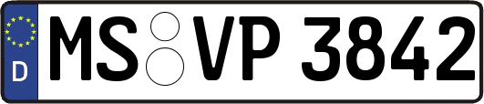 MS-VP3842