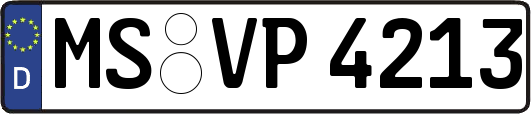 MS-VP4213