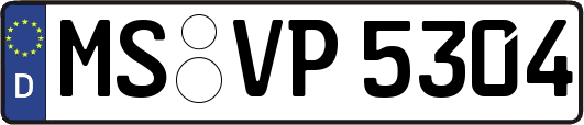 MS-VP5304
