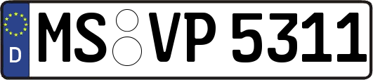 MS-VP5311