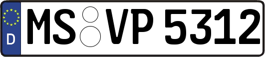 MS-VP5312