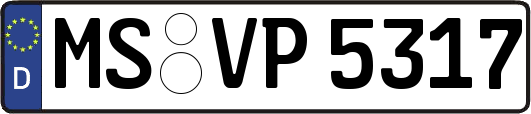 MS-VP5317