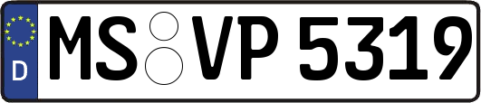 MS-VP5319