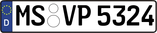 MS-VP5324