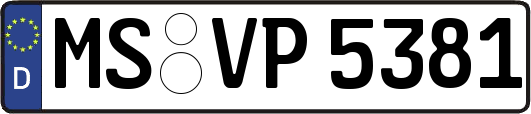 MS-VP5381