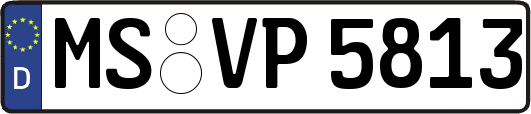 MS-VP5813