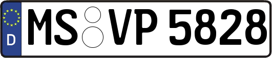 MS-VP5828