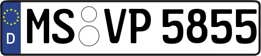MS-VP5855