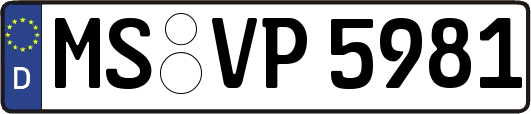 MS-VP5981