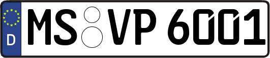 MS-VP6001